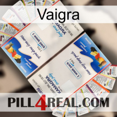 Vaigra kamagra1